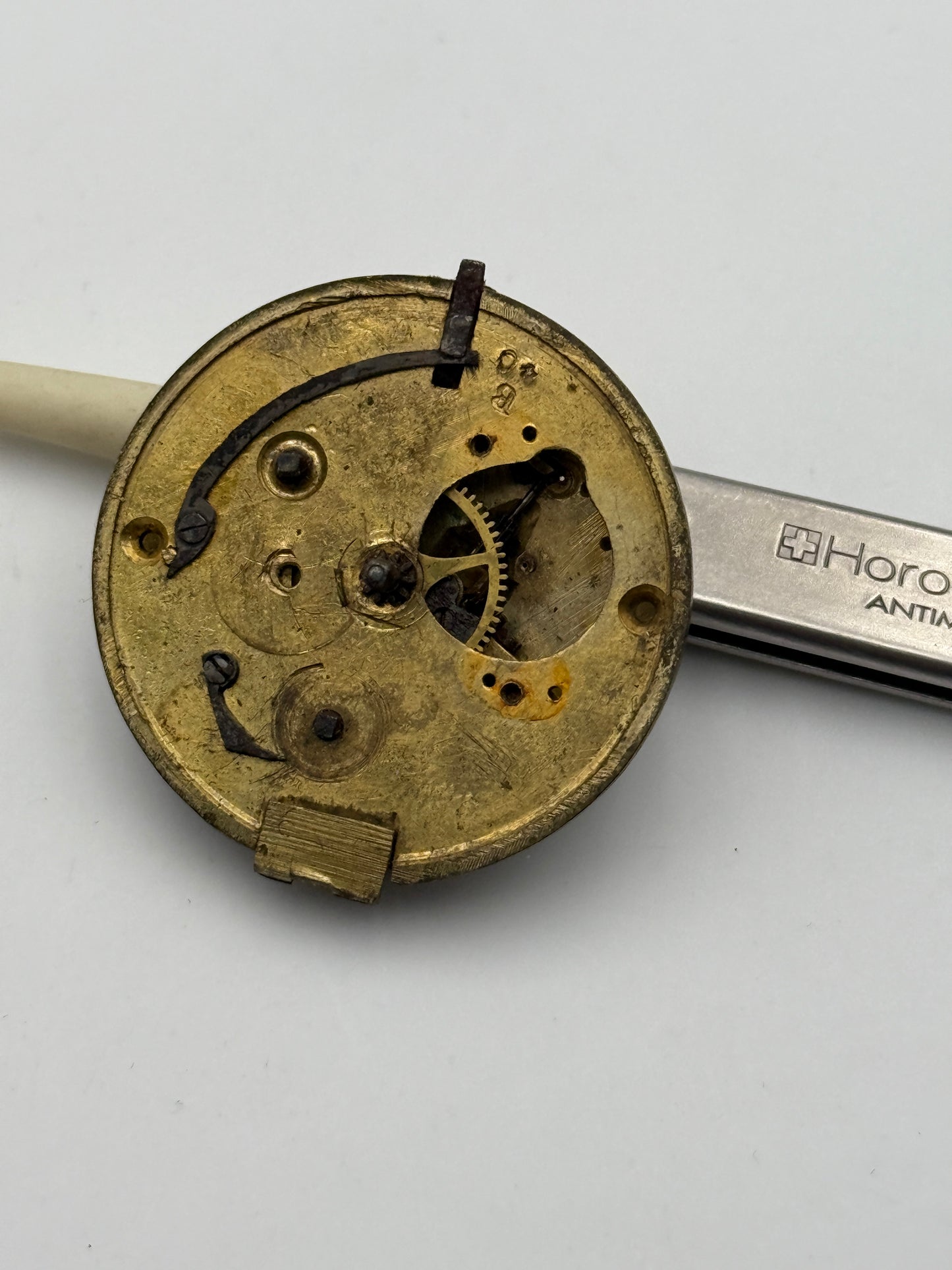 serpentine chain watch pocket watch movement 31,5mm