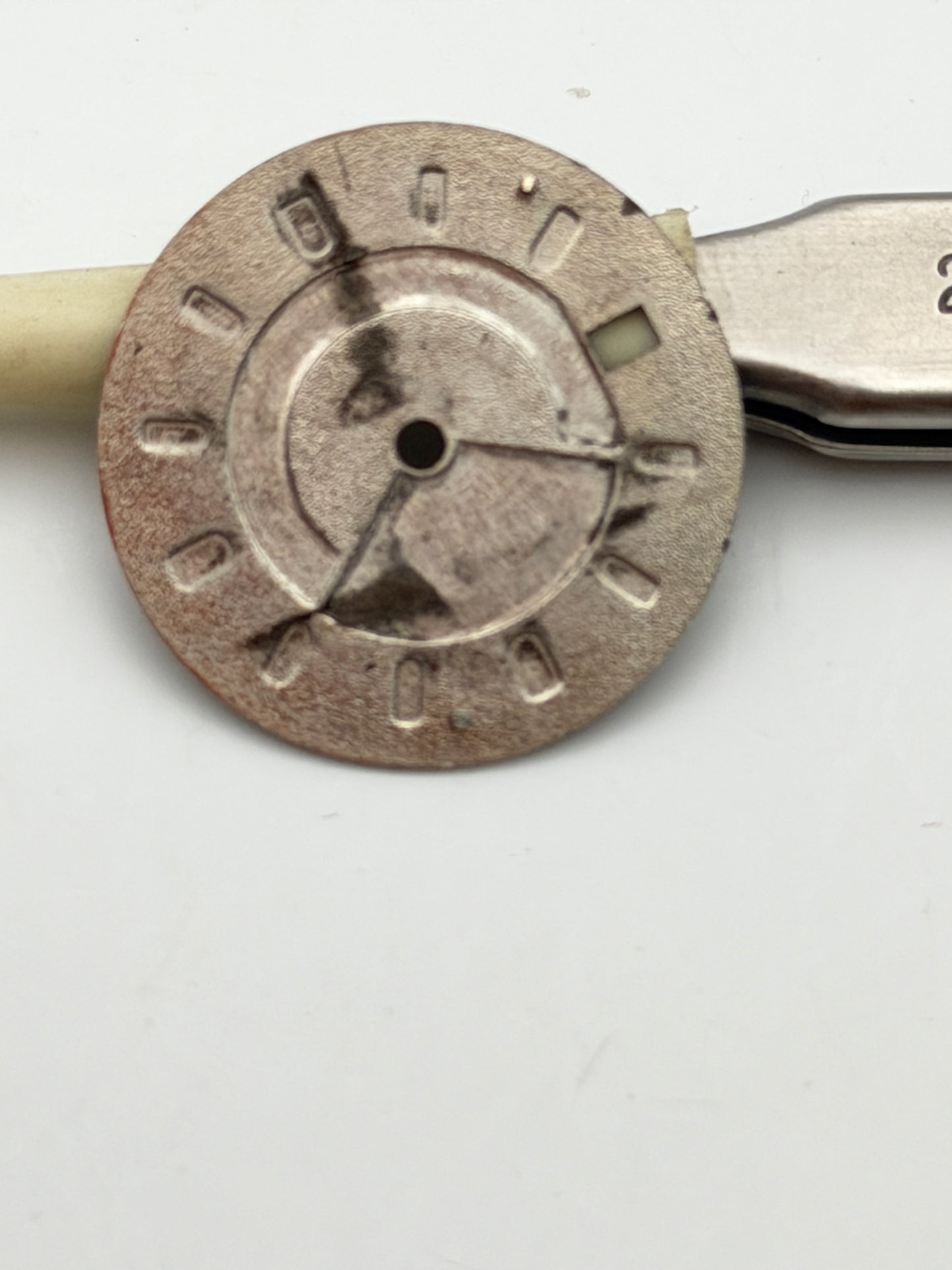 sector 255 21.5mm dial quadrante
