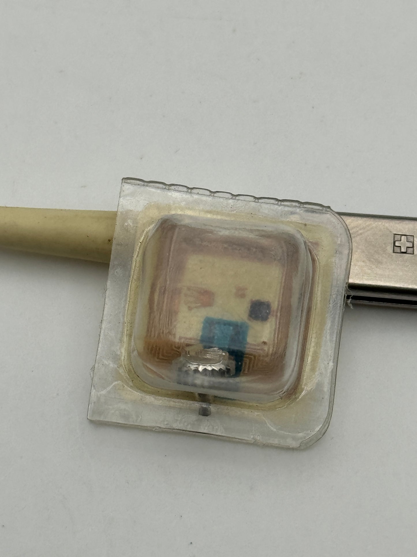 Rolex b24-600-0-g1 corona steel crown