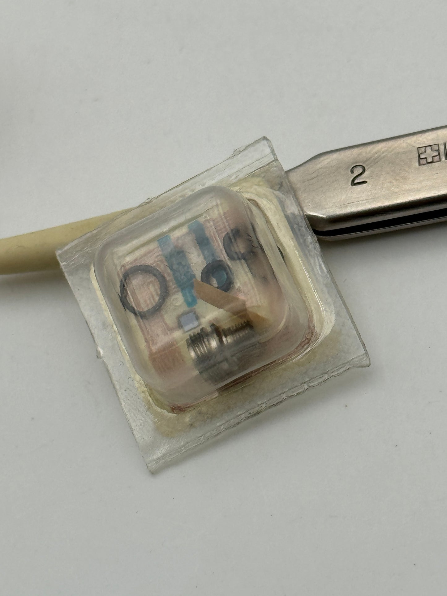 Rolex b24-7030-0-g1 tubo cassa tube case