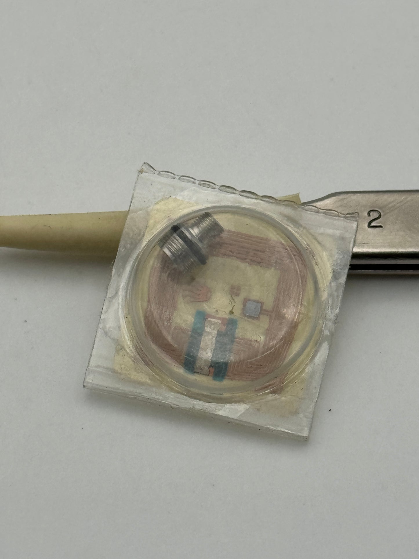 Rolex b3135-5600-y5 3135 tubo cassa tube case