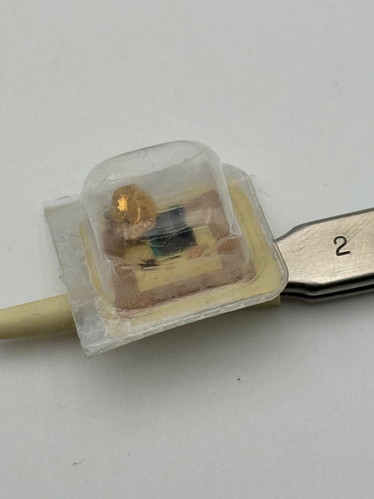 Rolex b24-600-0-g1 corona gold crown