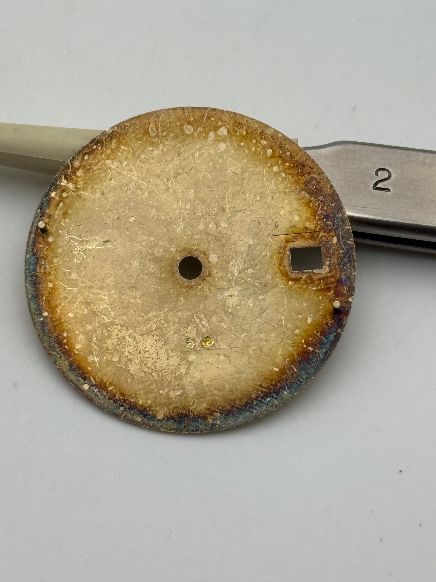 zodiac champagne swiss made 28.8mm