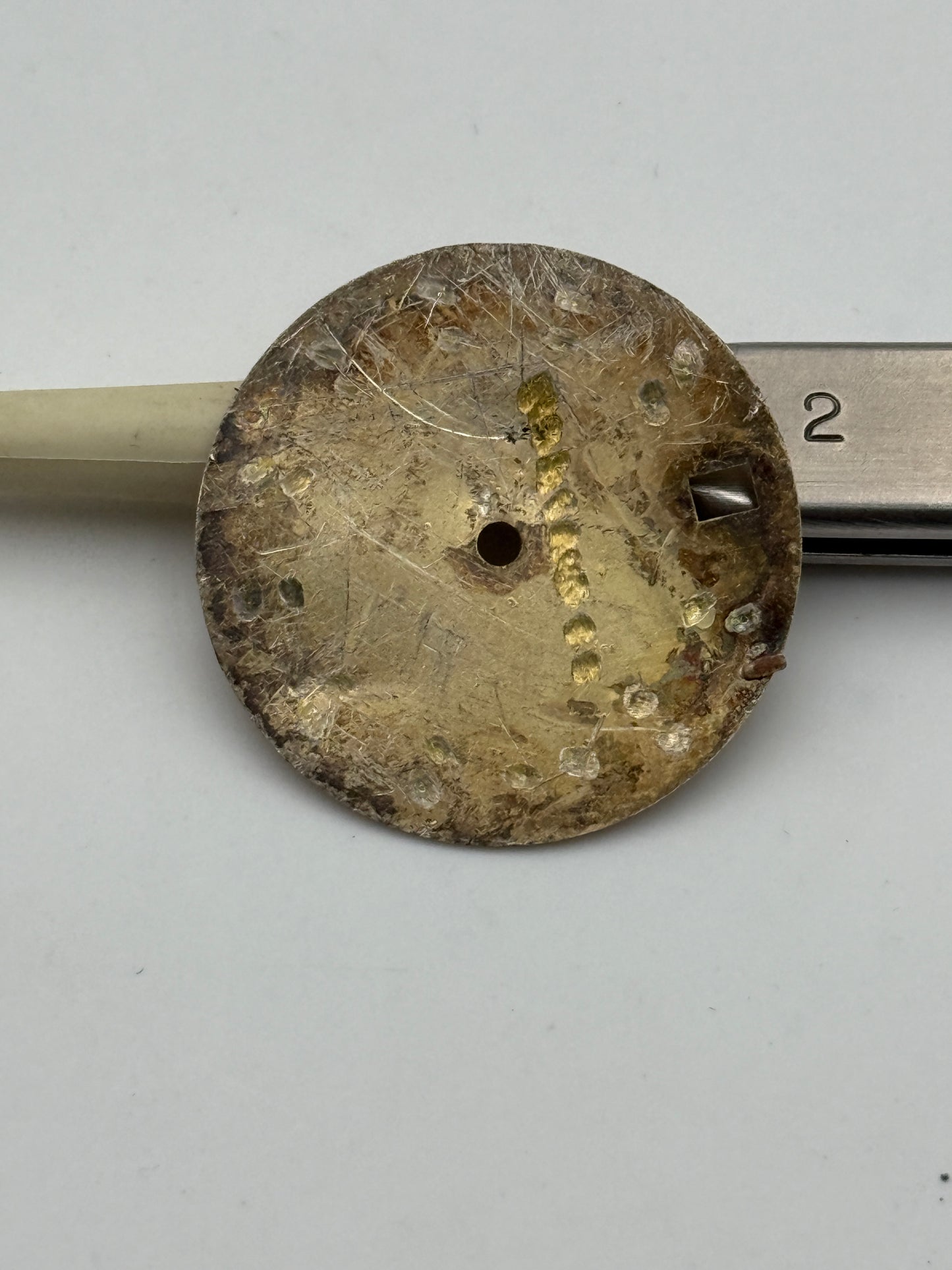 zodiac quartz 24mm dial quadrante