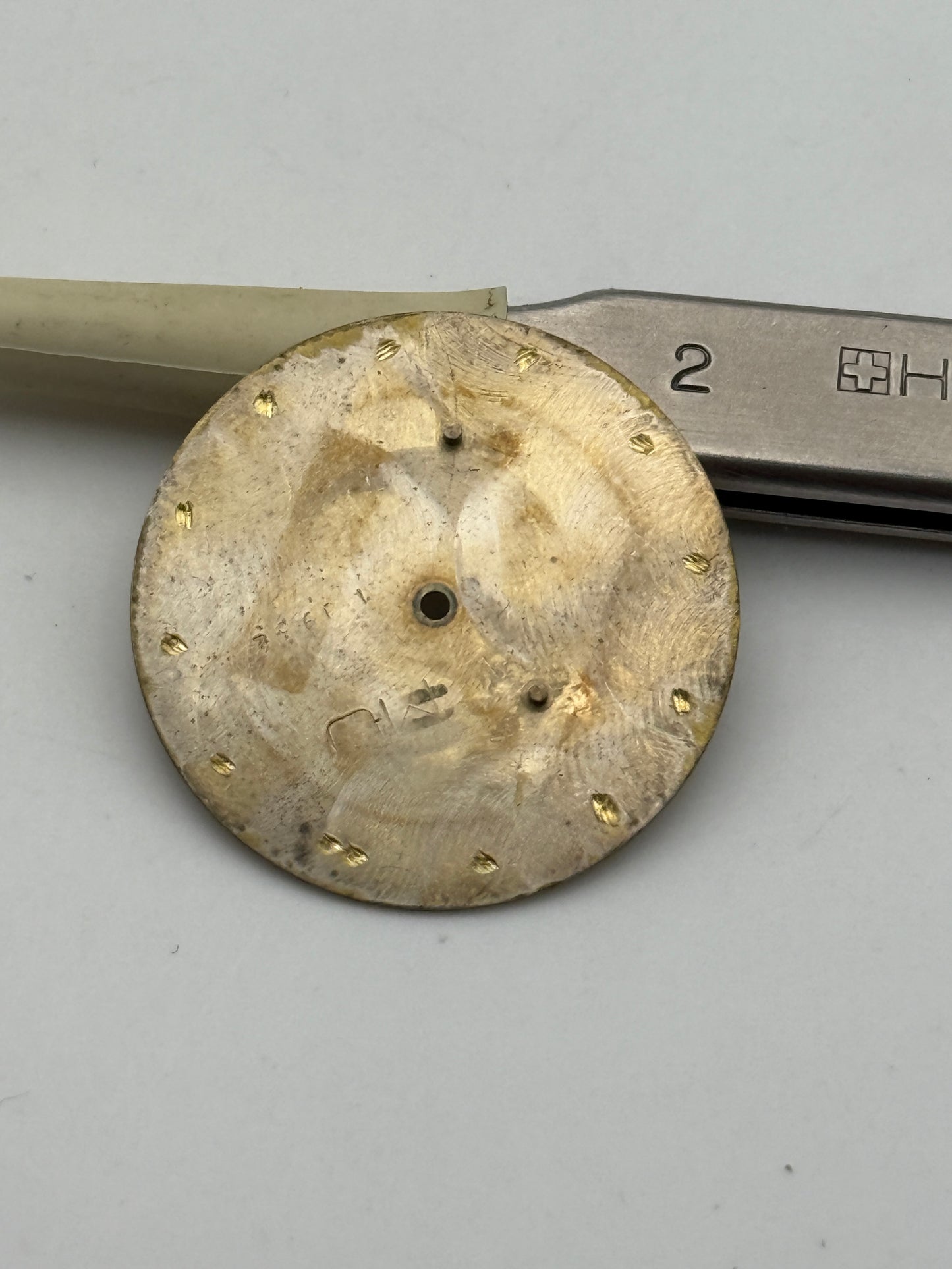 zodiac astroquartz 24.5mm dial quadrante