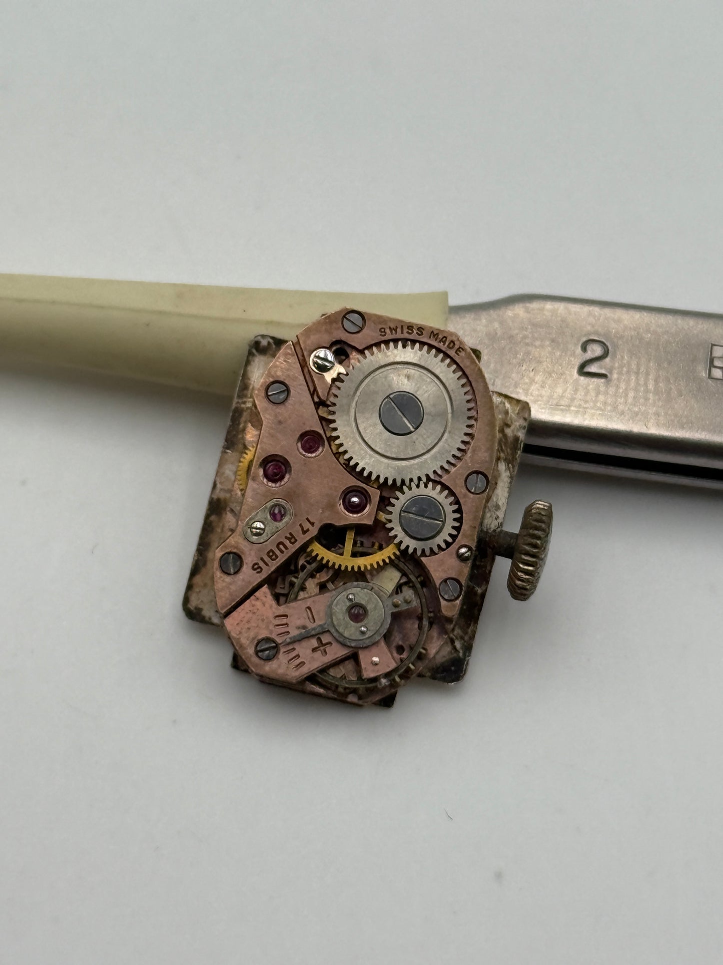 tenex 17 jewels movimento movement