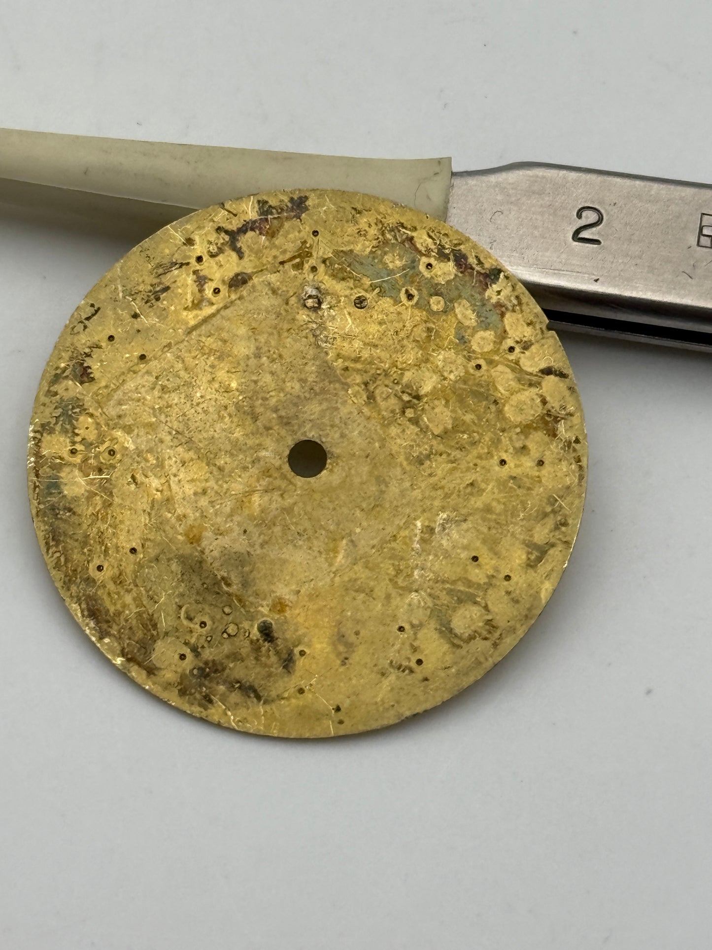 kangaro crystal 29.7mm dial quadrante