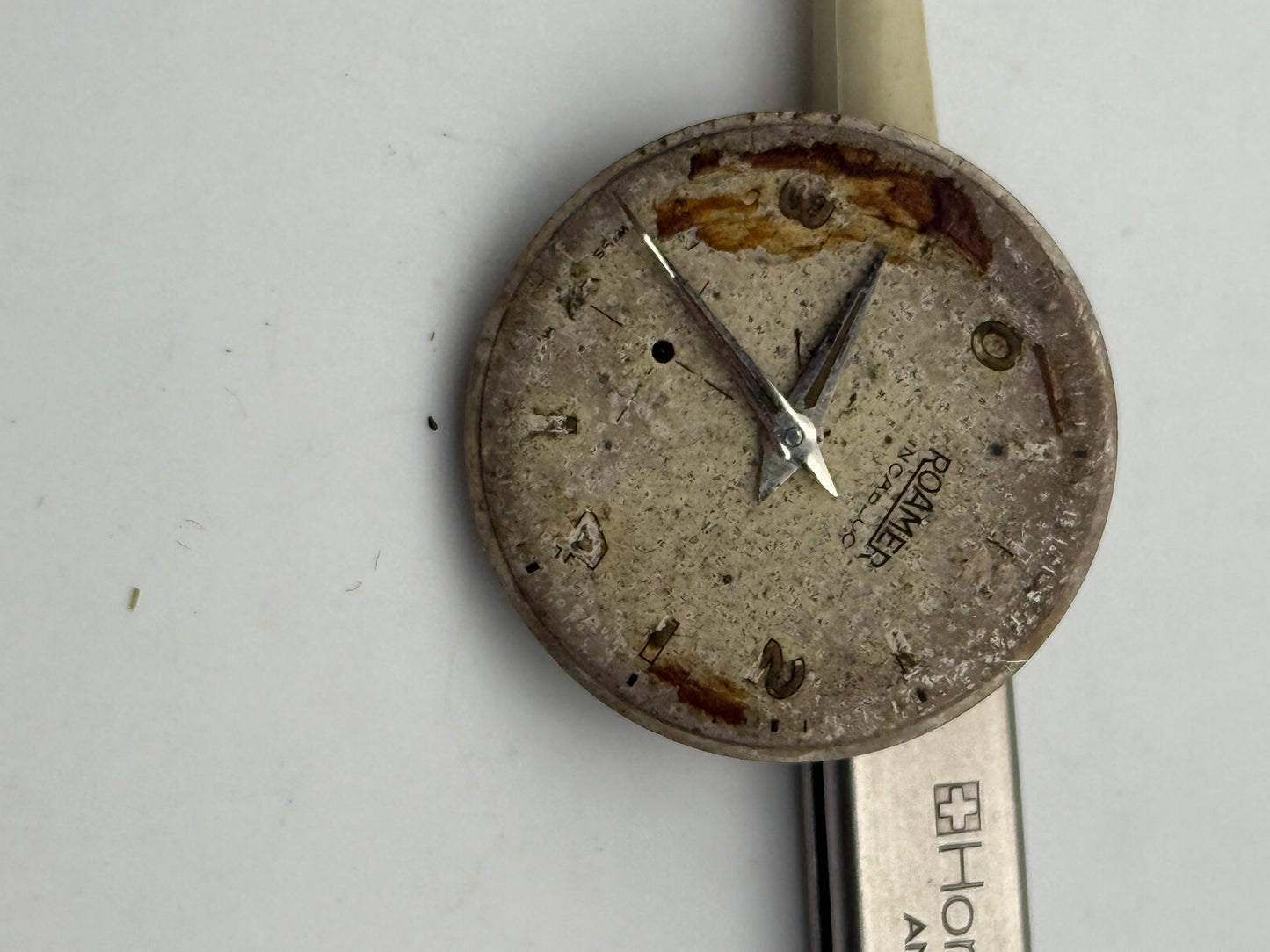 roamer mst 401 movement movimento