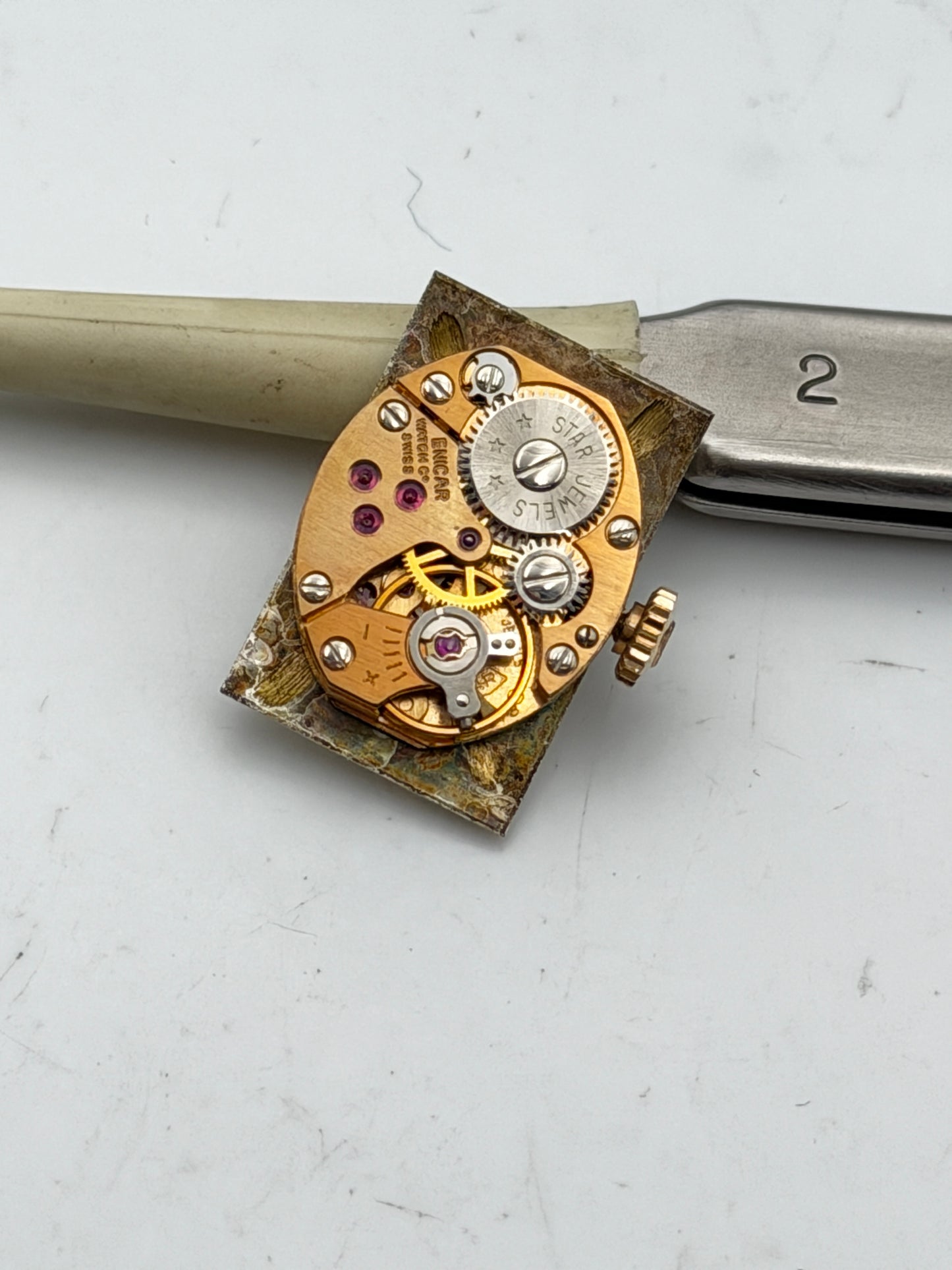 enicar star jewels movement movimento