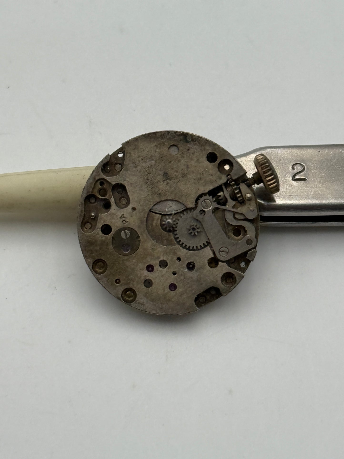 candino watch co 19.5mm movement movimento old rare