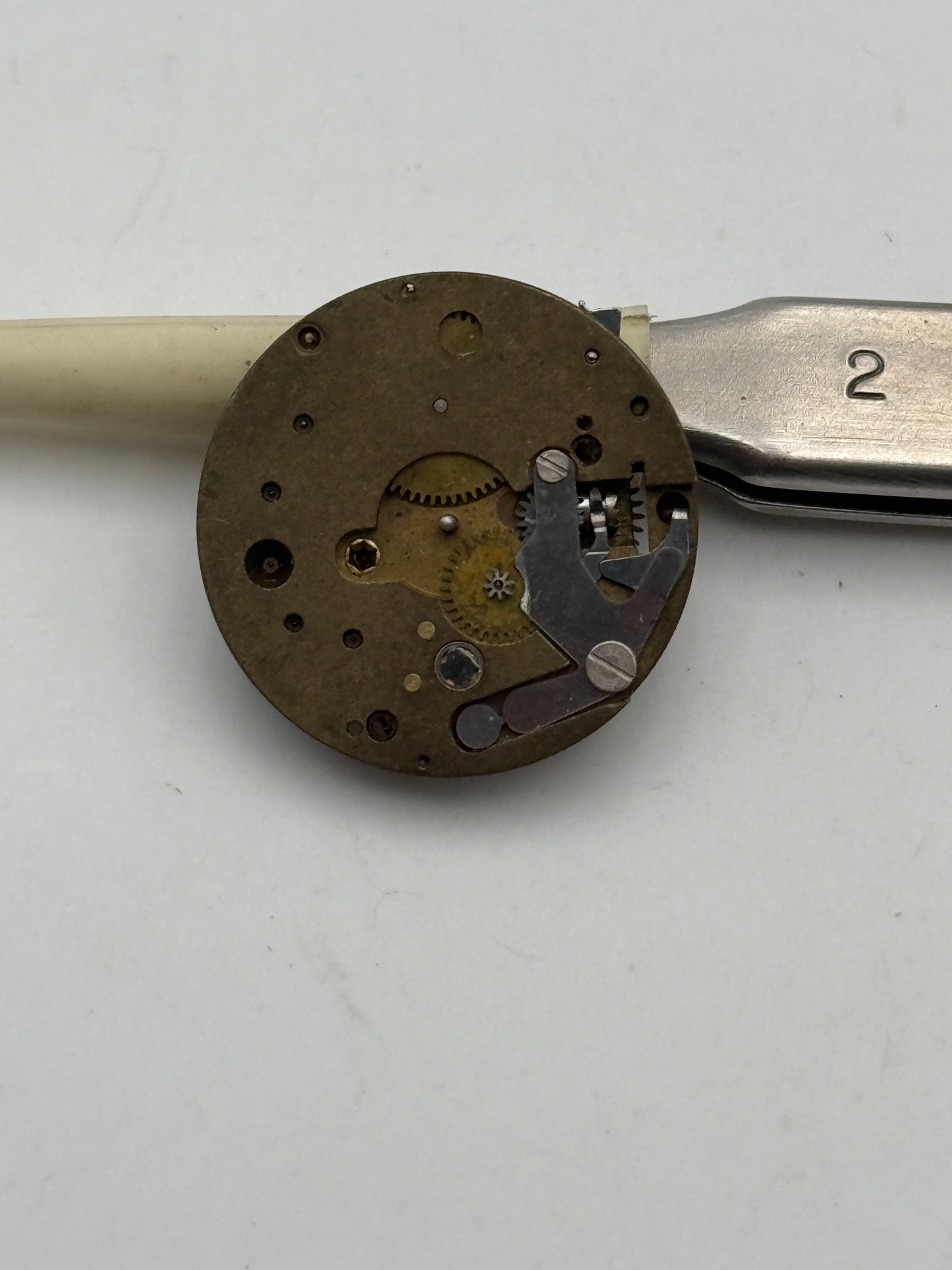 bfg 19.5mm movement movimento