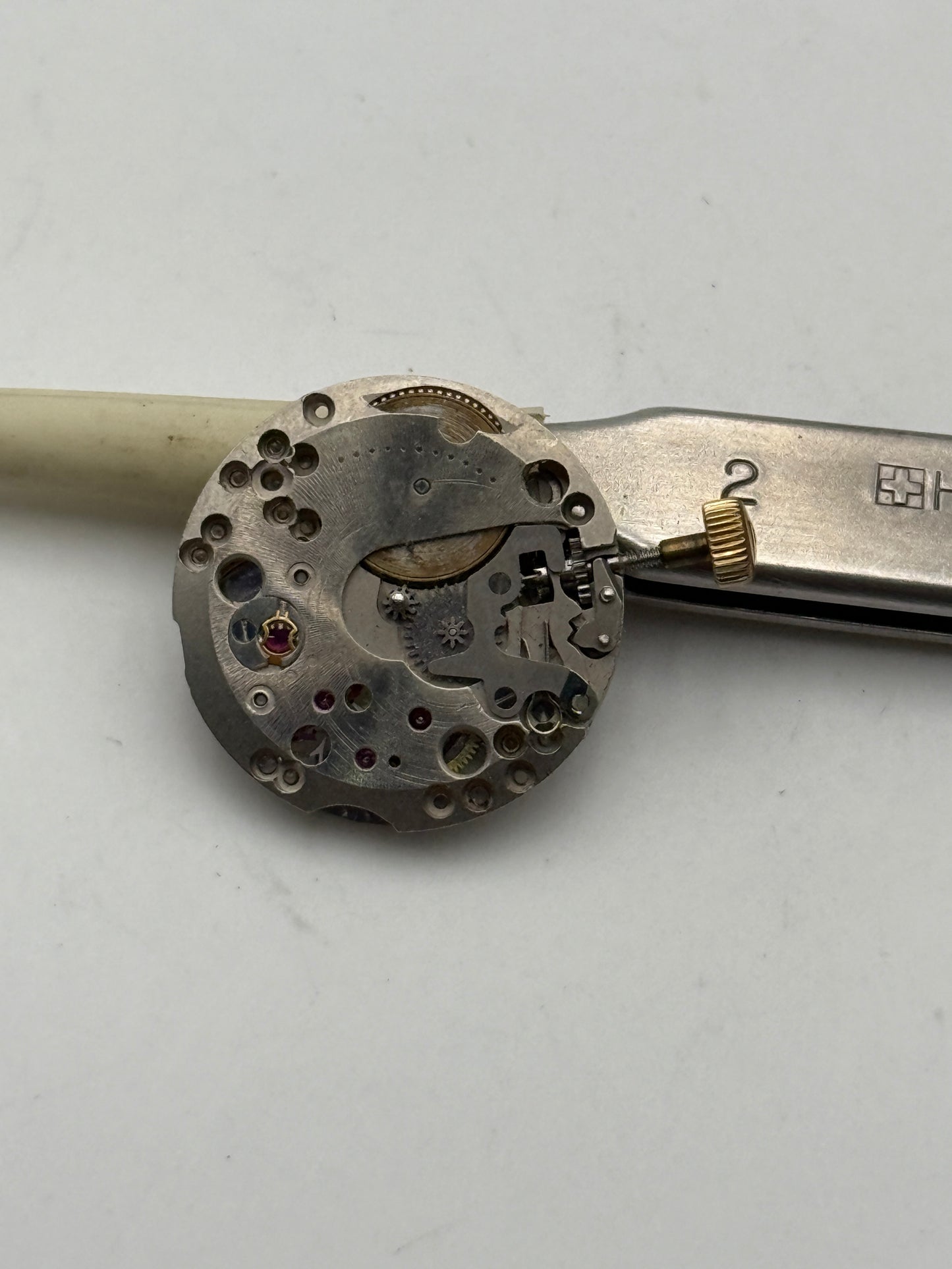 eberhard 879 movement movimento