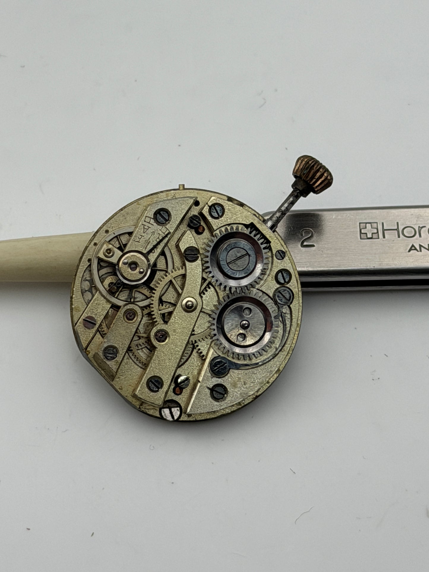 anonimo cilindro 26mm movement movimento