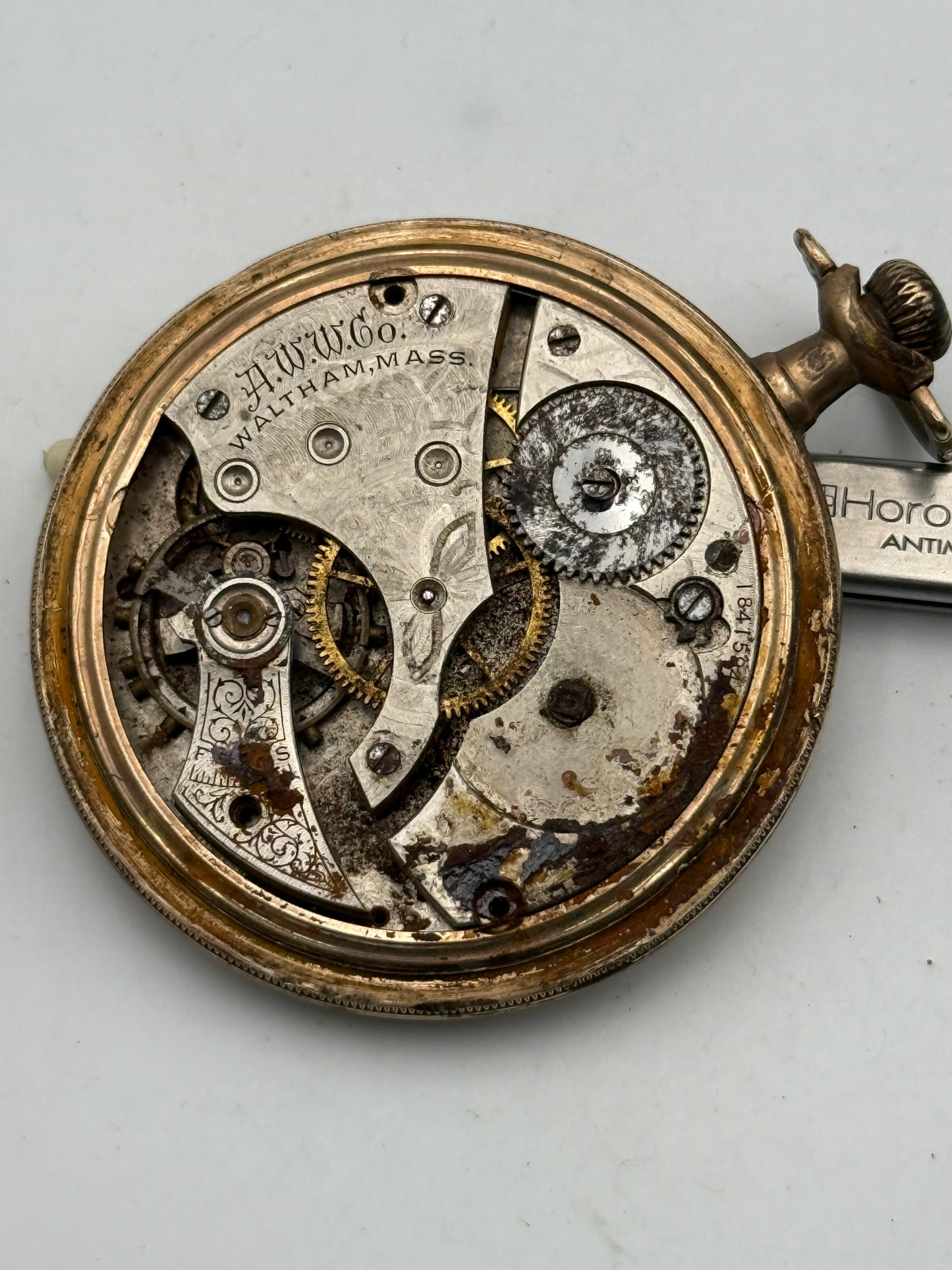 waltham tasca 50mm pocket watch plaque or