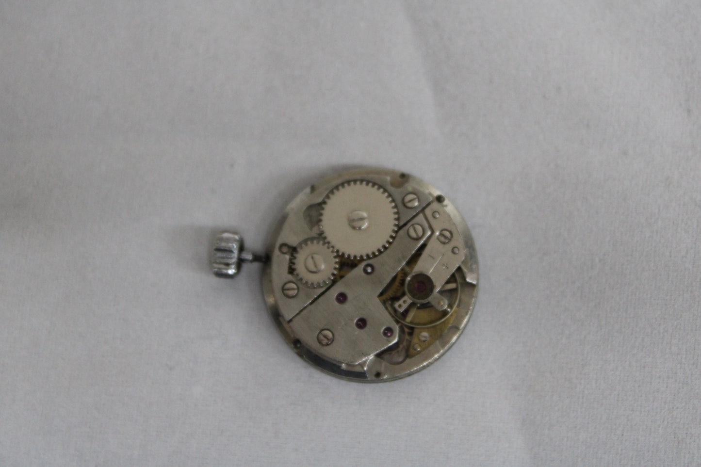 lorsa 238 movement movimento