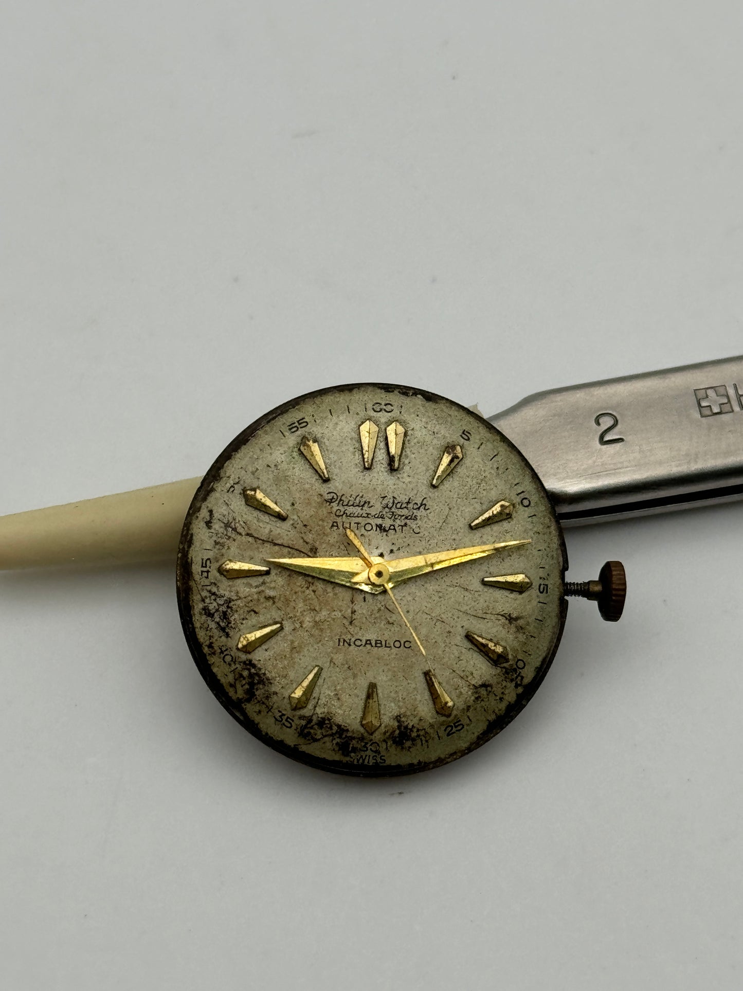 Philip Watch 54