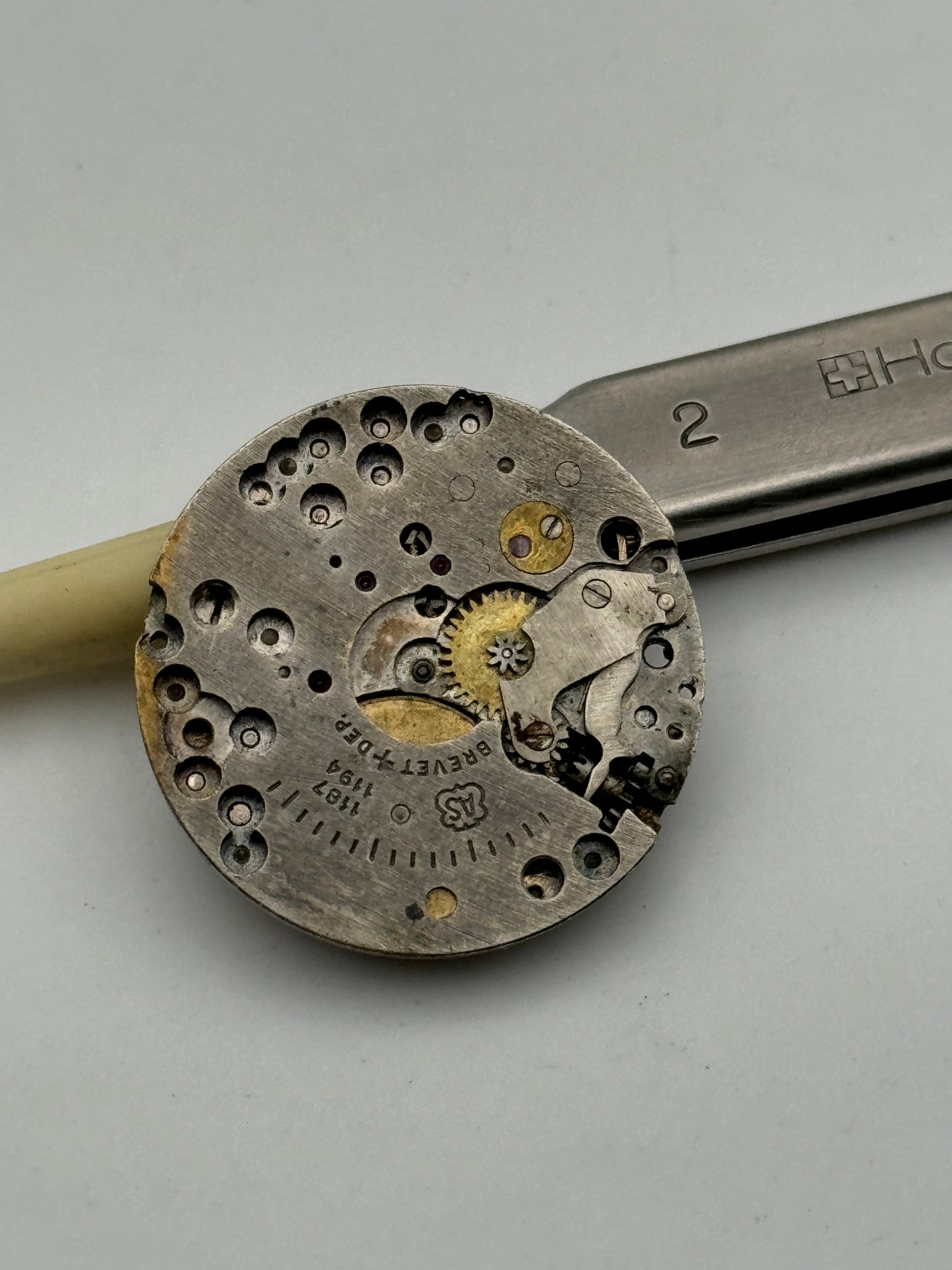 as 1187-1194 movement movimento