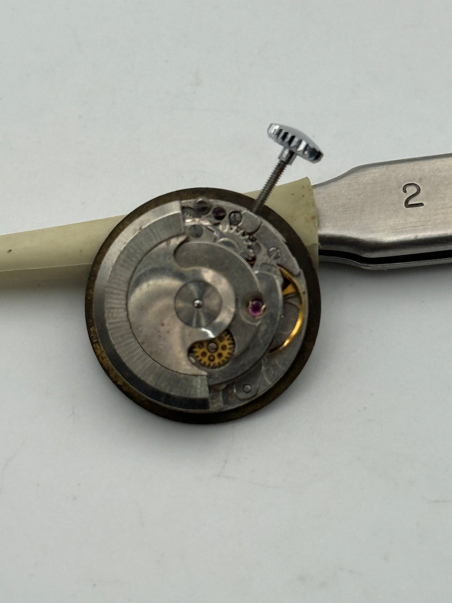 rewel automatic old diver movement movimento