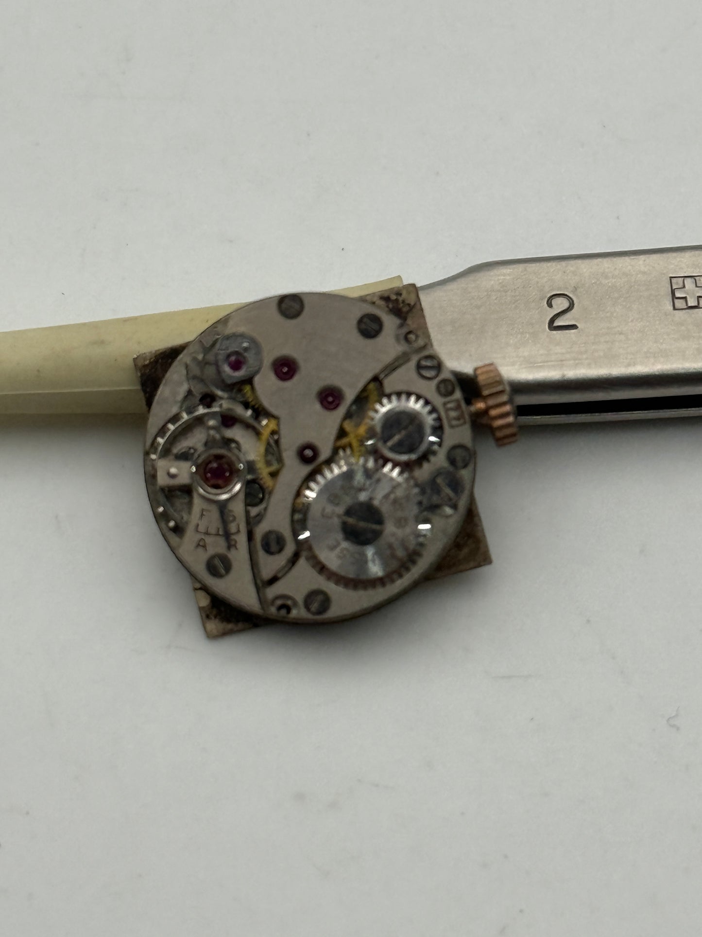 ebel 77 movement movimento