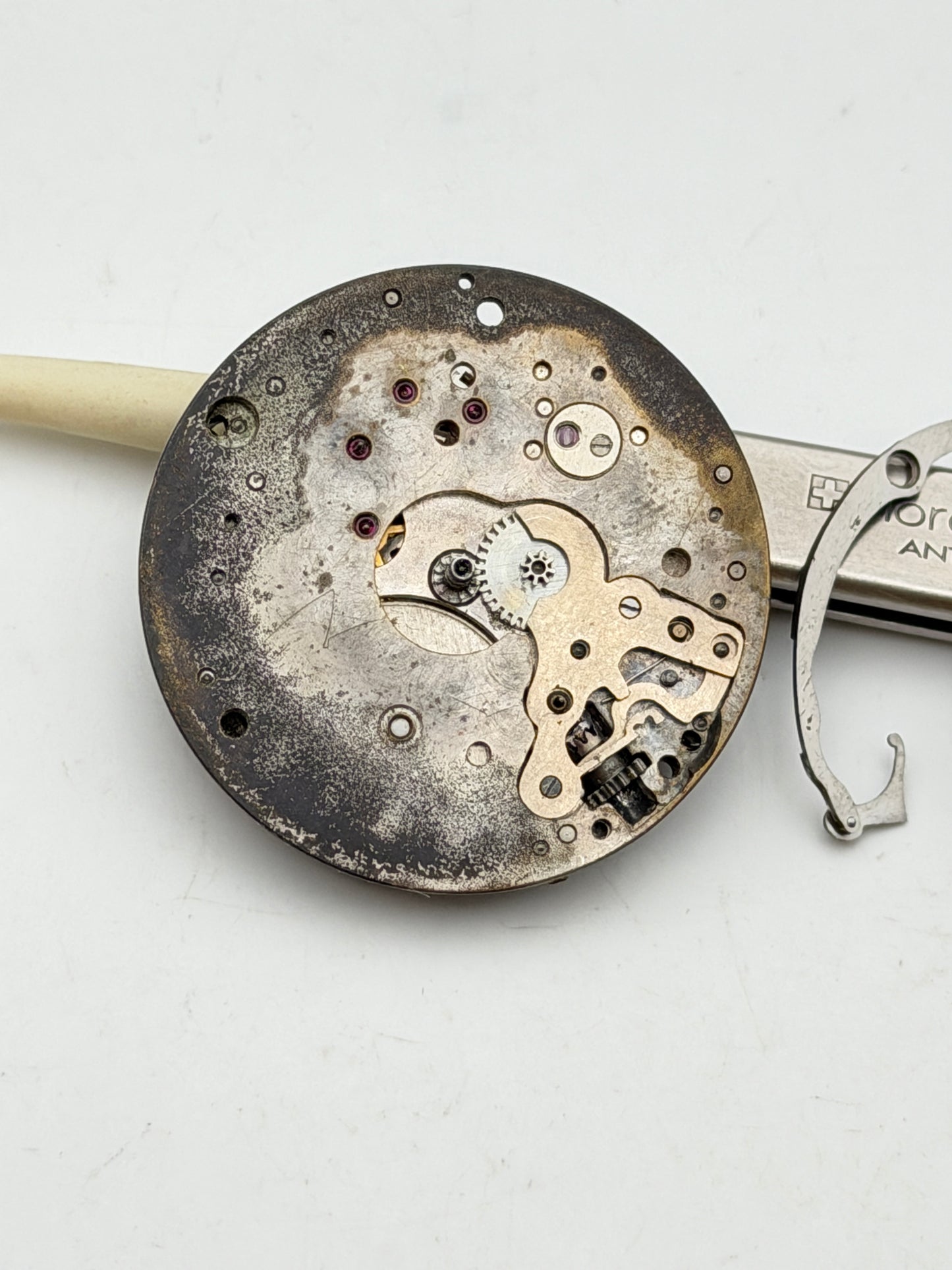 angelus chrono chronograph movement movimento