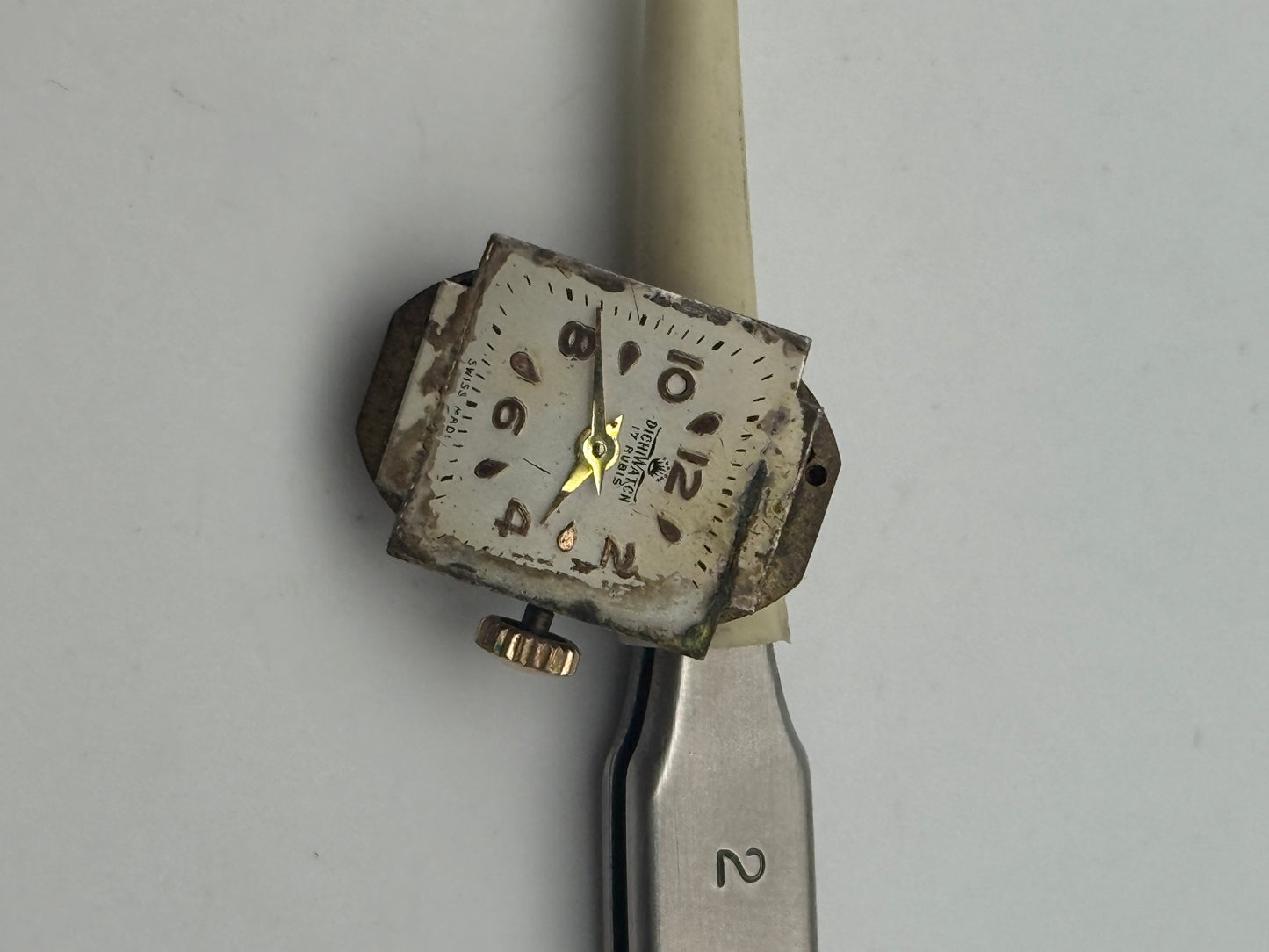 dichi watch swiss made movement movimento