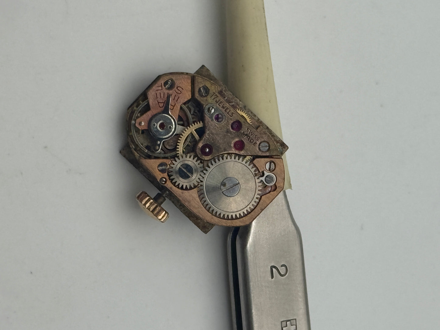 dichi watch swiss made movement movimento