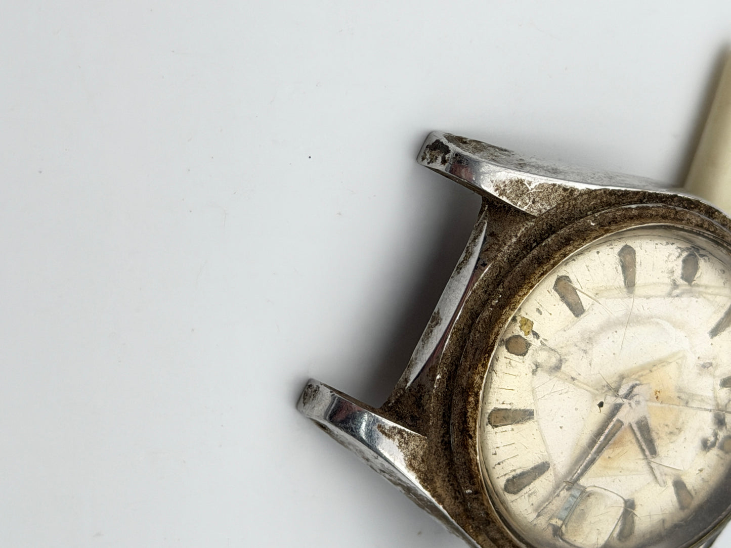 diver calypsomatic 37mm automatic