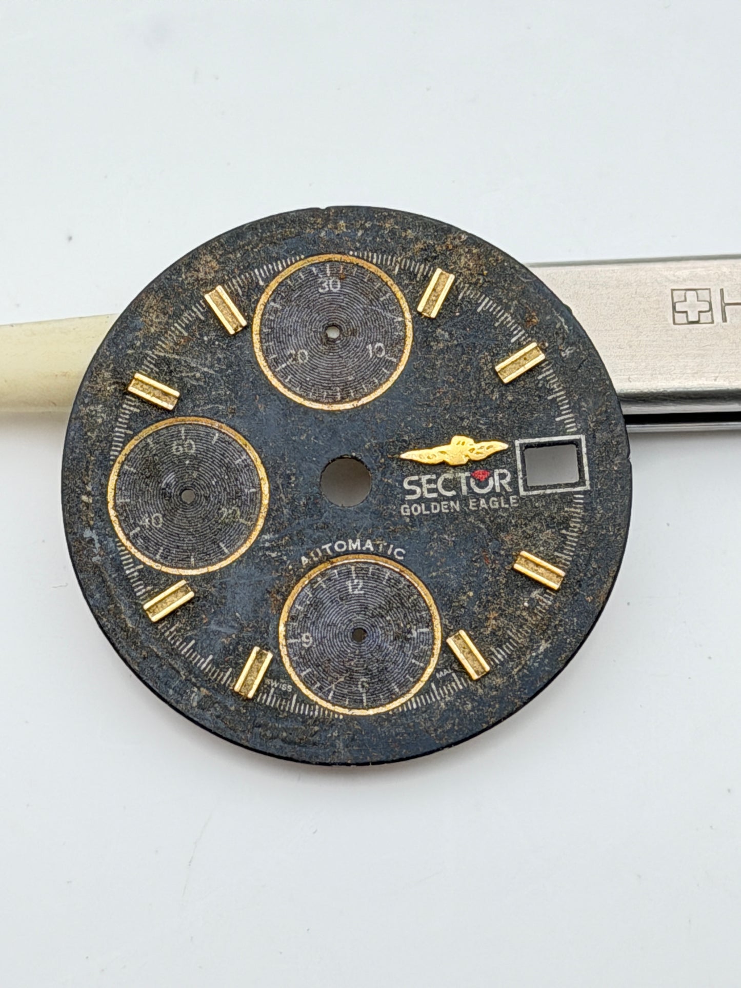 sector golden eagle 29.5mm chronograph automatic dial quadrante