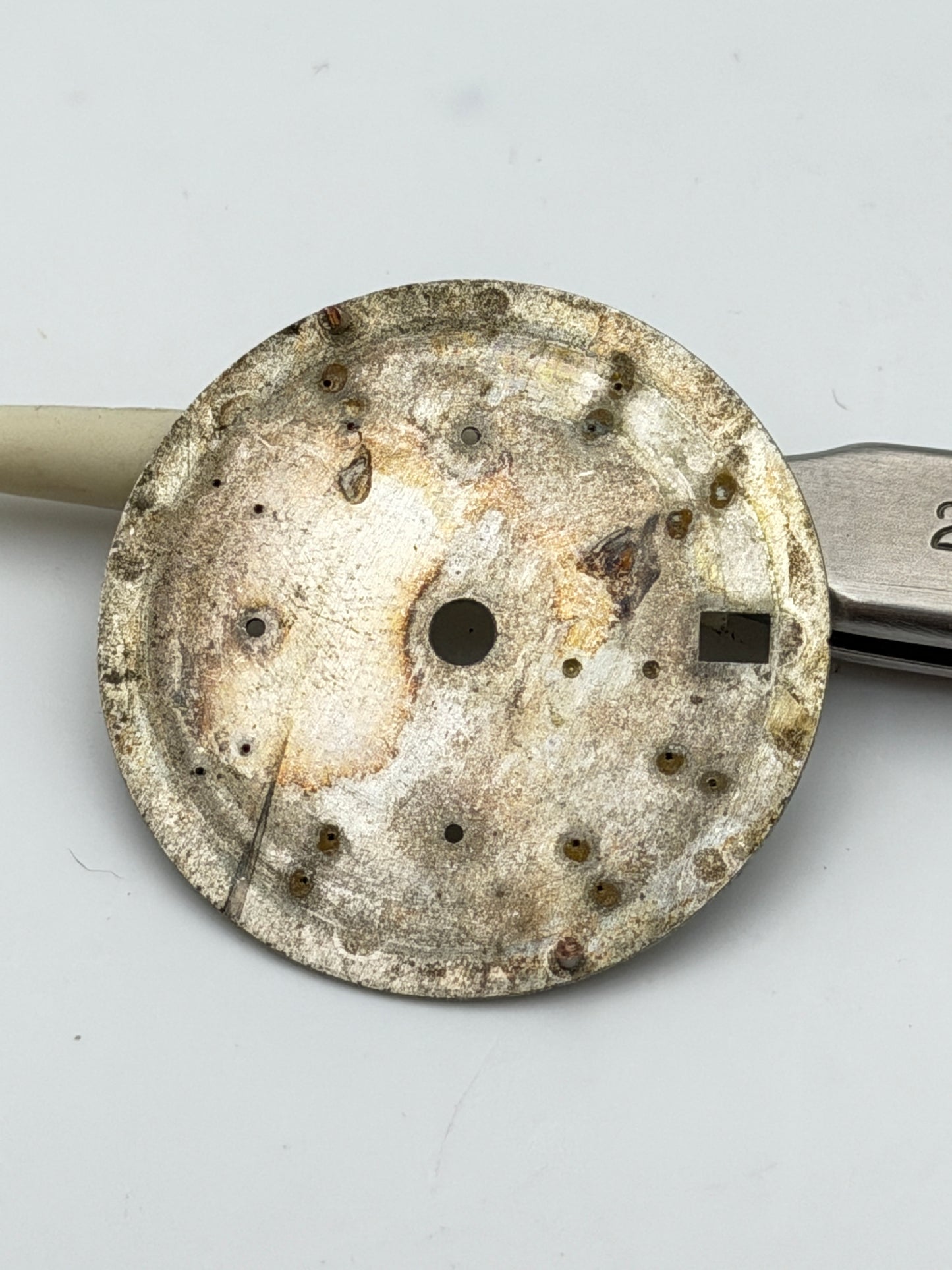 sector golden eagle 29.5mm dial quadrante 7750 chronograph