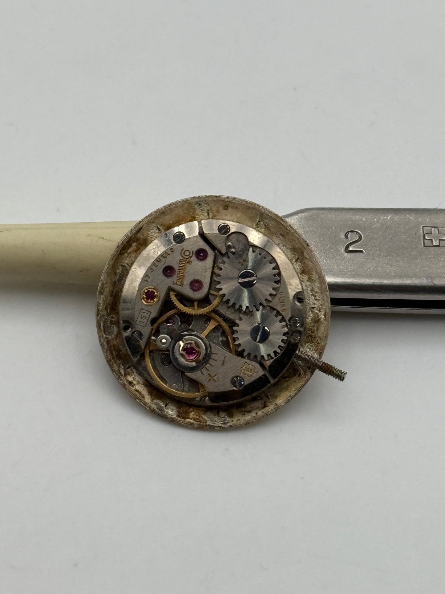 eberhard 151 movement movimento
