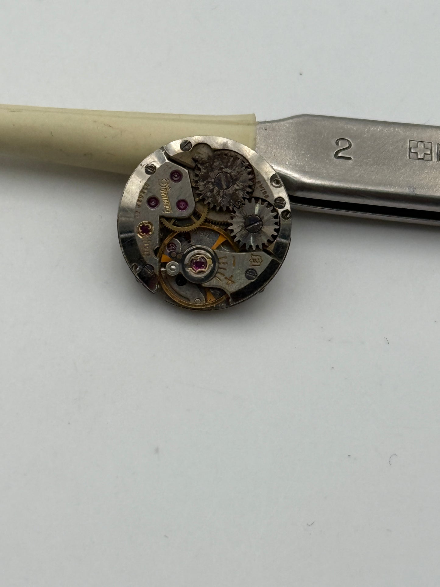 eberhard 1551 movement movimento