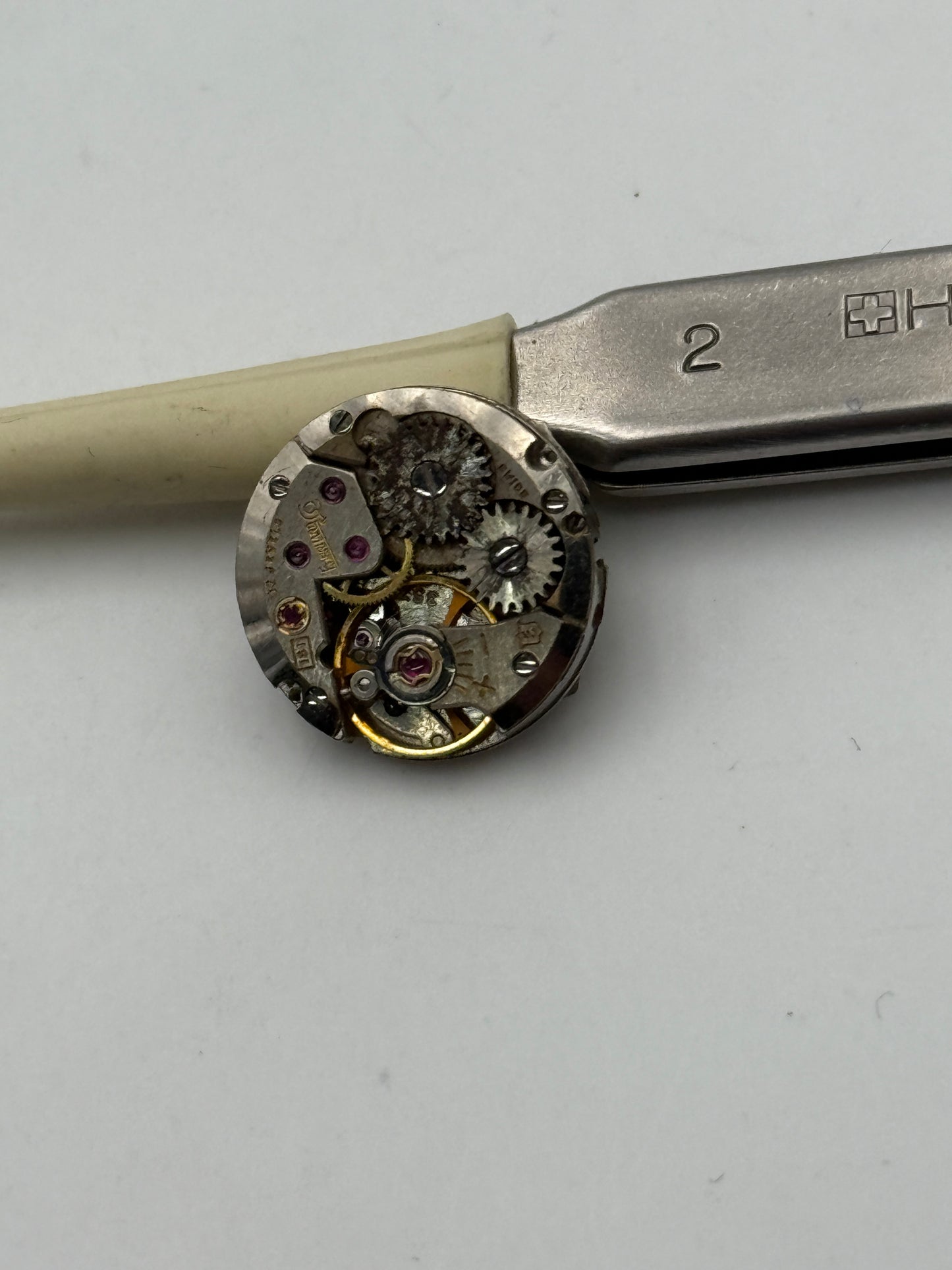 eberhard 1551 movement movimento