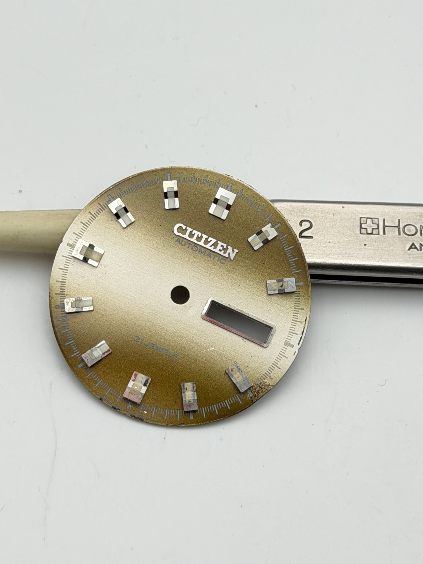 citizen 28.5mm dial quadrante