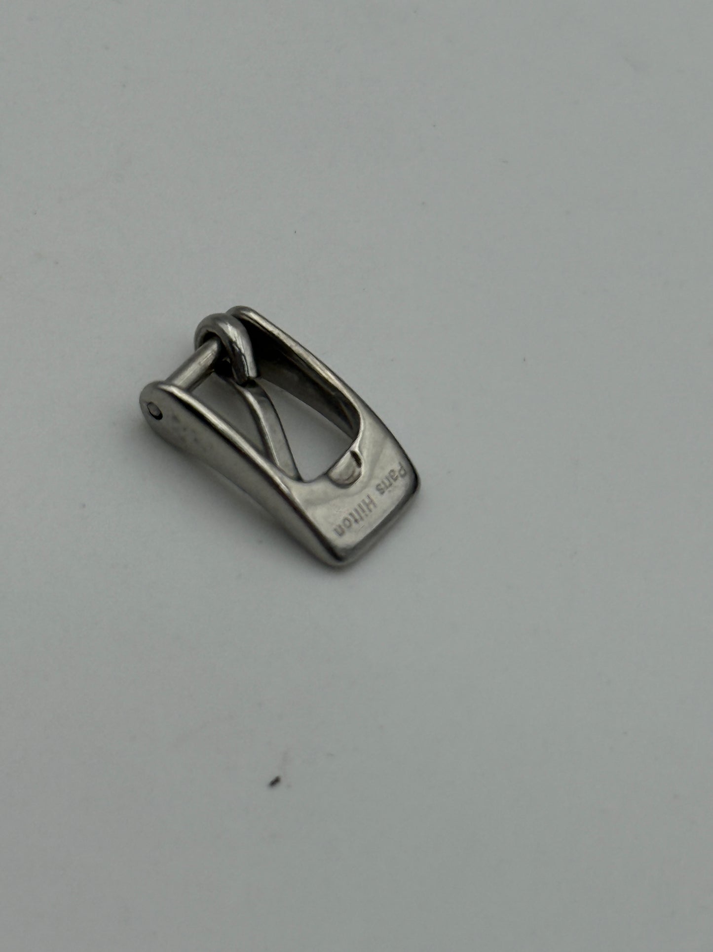paris hilton 6mm fibbia buckle