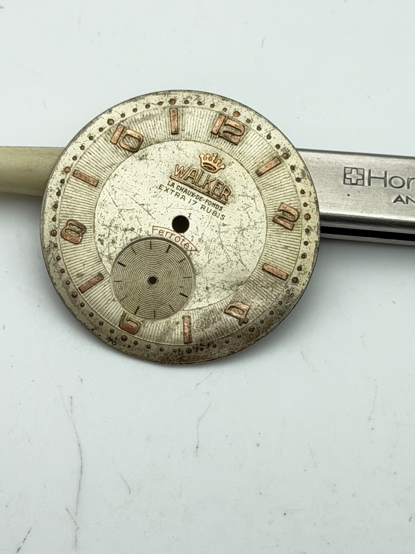 walker 24mm dial quadrante