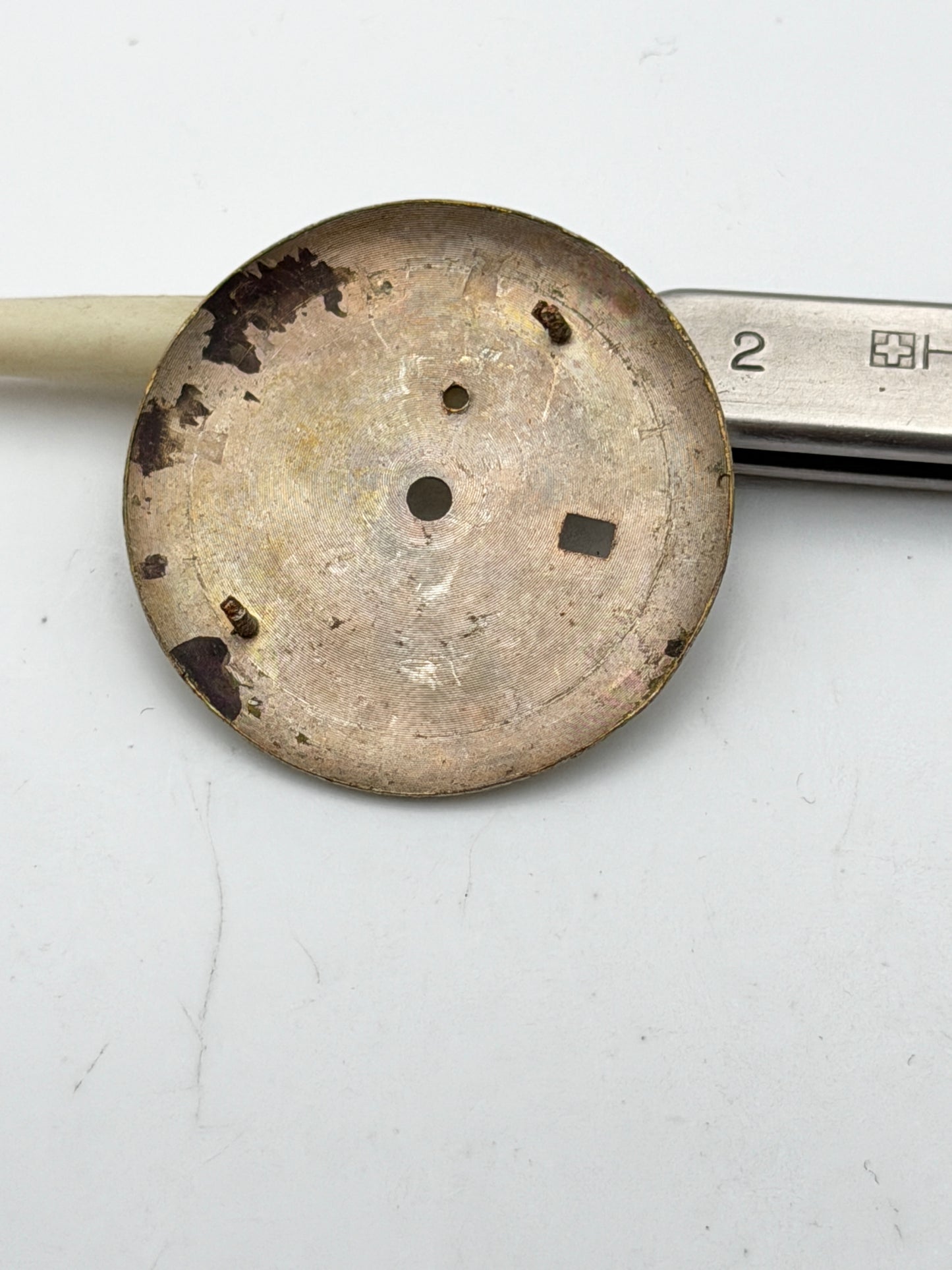 genis 29,5mm dial quadrante