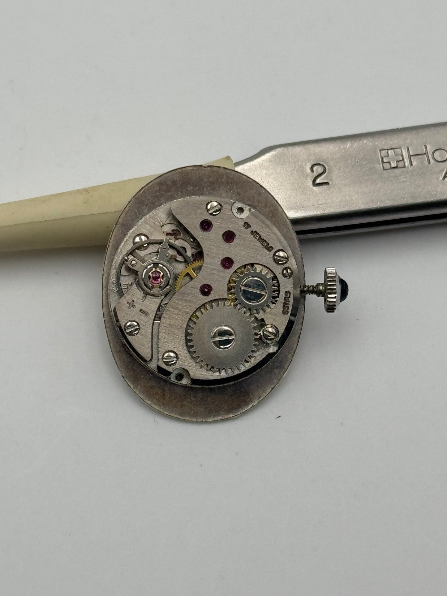 phigied fhf 35 movement movimento