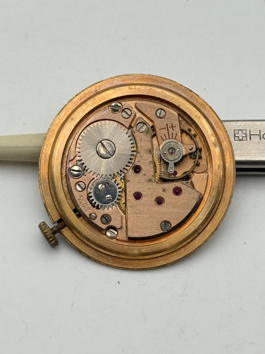 wan wit fhf 76 movement movimento