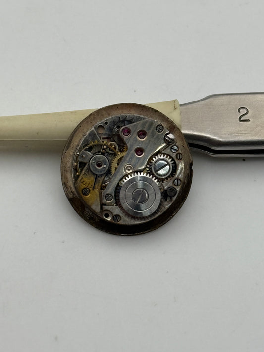 nigar extra movement movimento