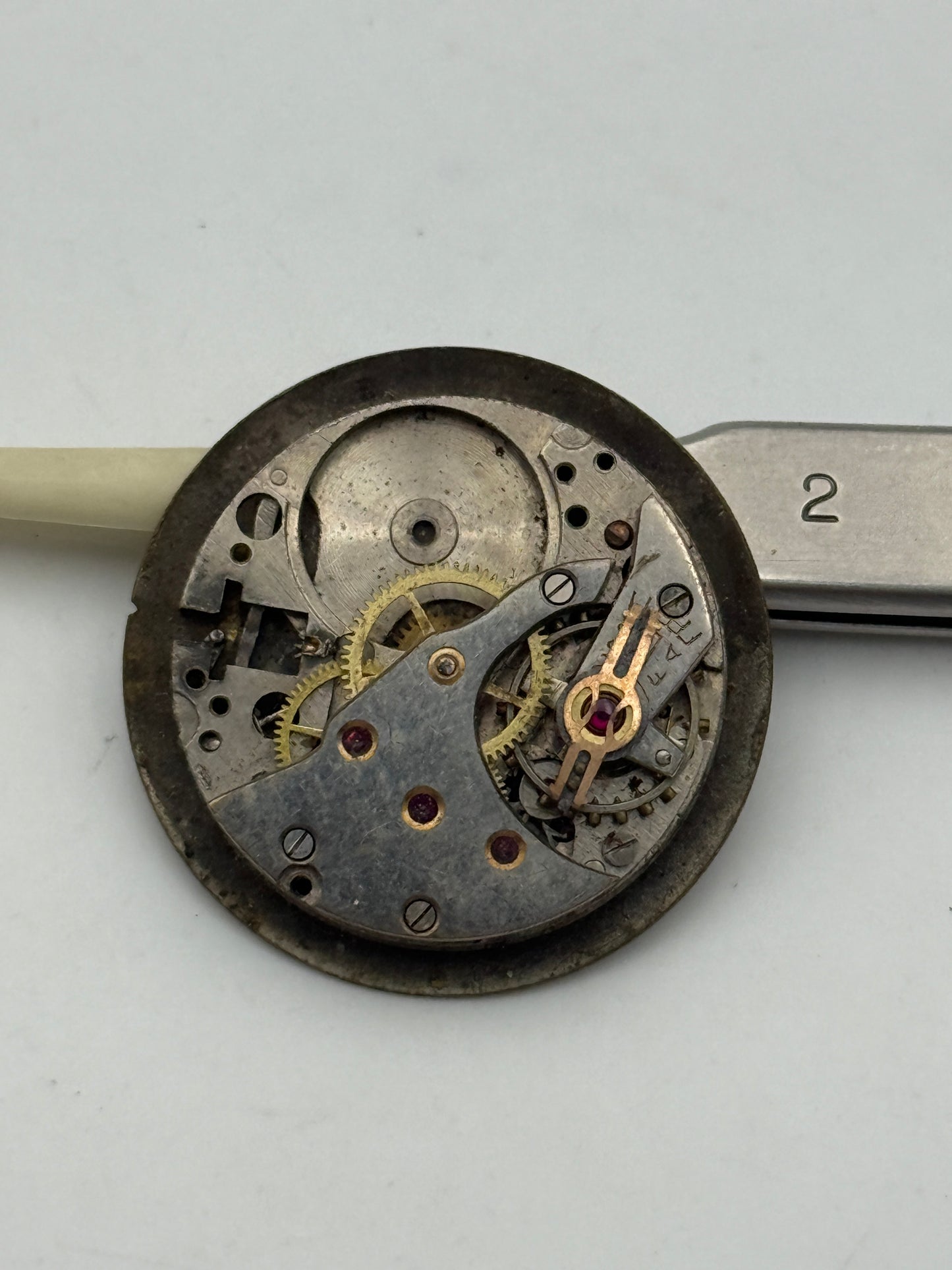 wolex watch movement movimento