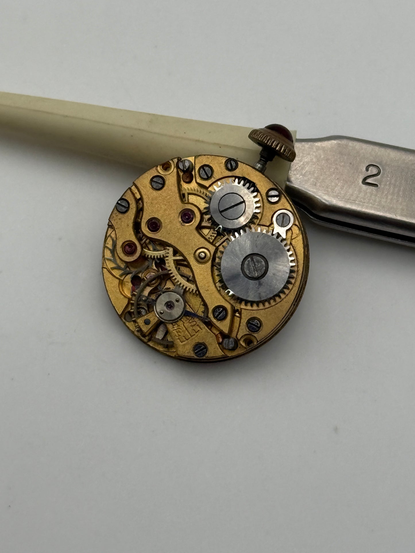 sabina cylinder movement movimento porcelain 19mm