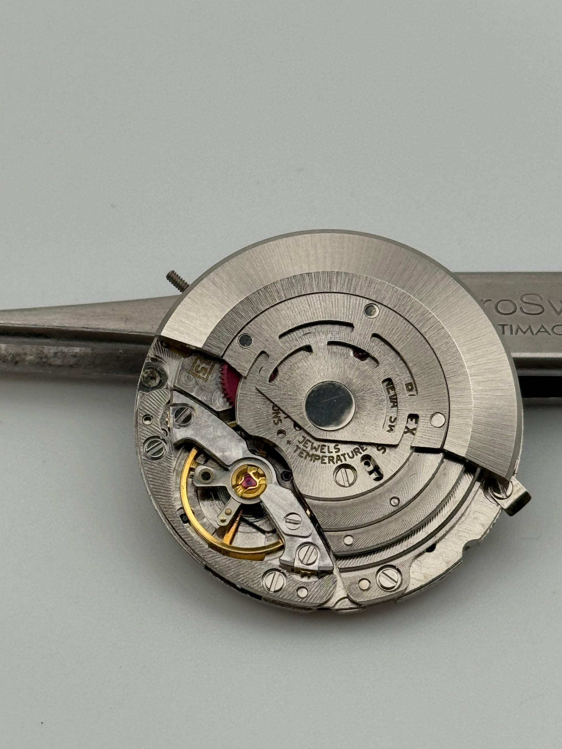 sh 3135 movement movimento