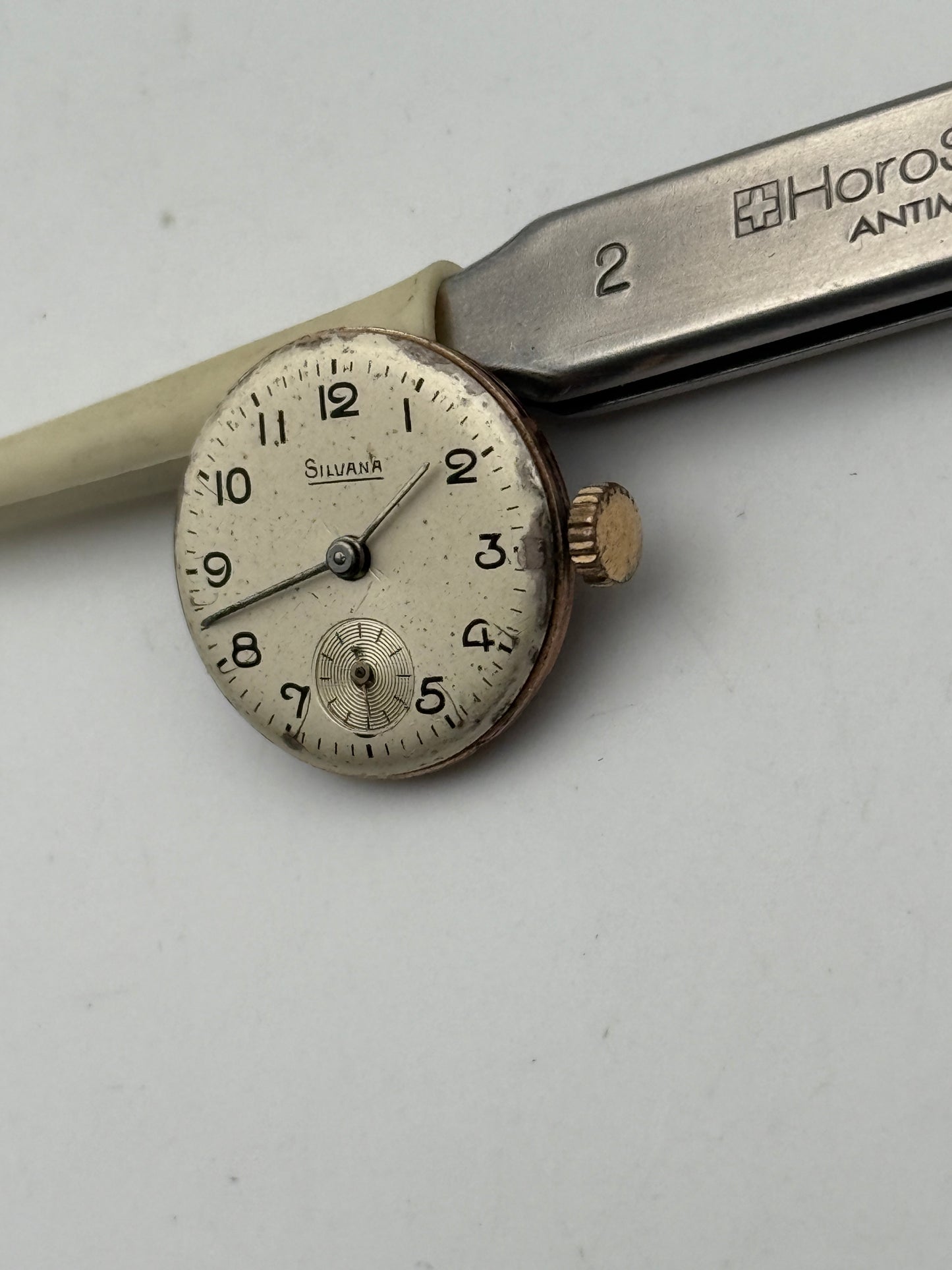 silvana spider eta 980 movement movimento