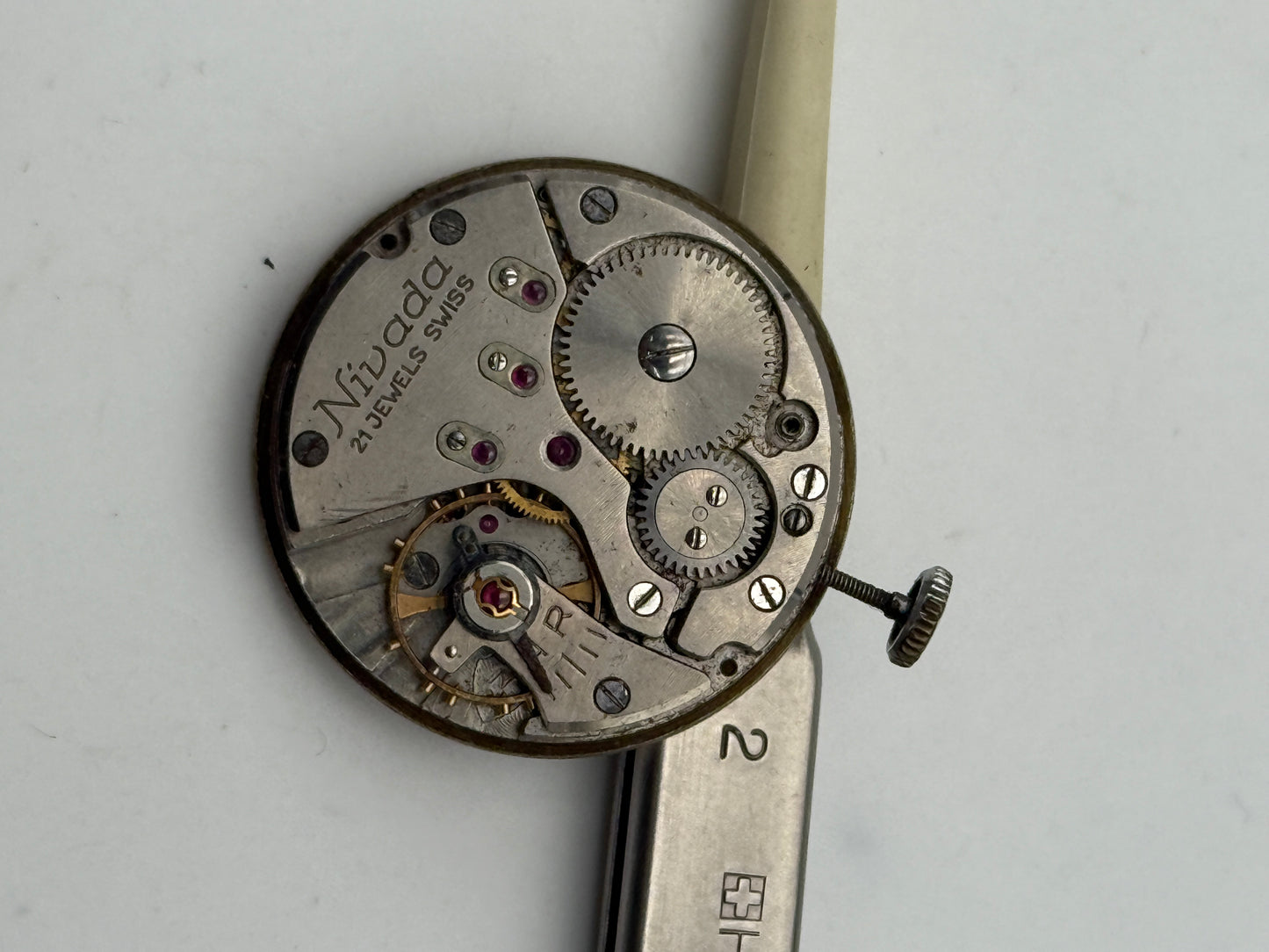 nivada n33 movement movimento