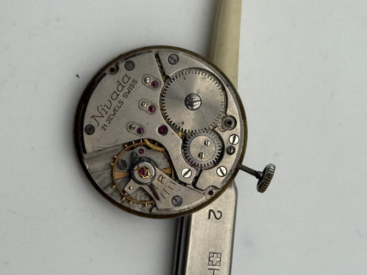 nivada n33 movement movimento