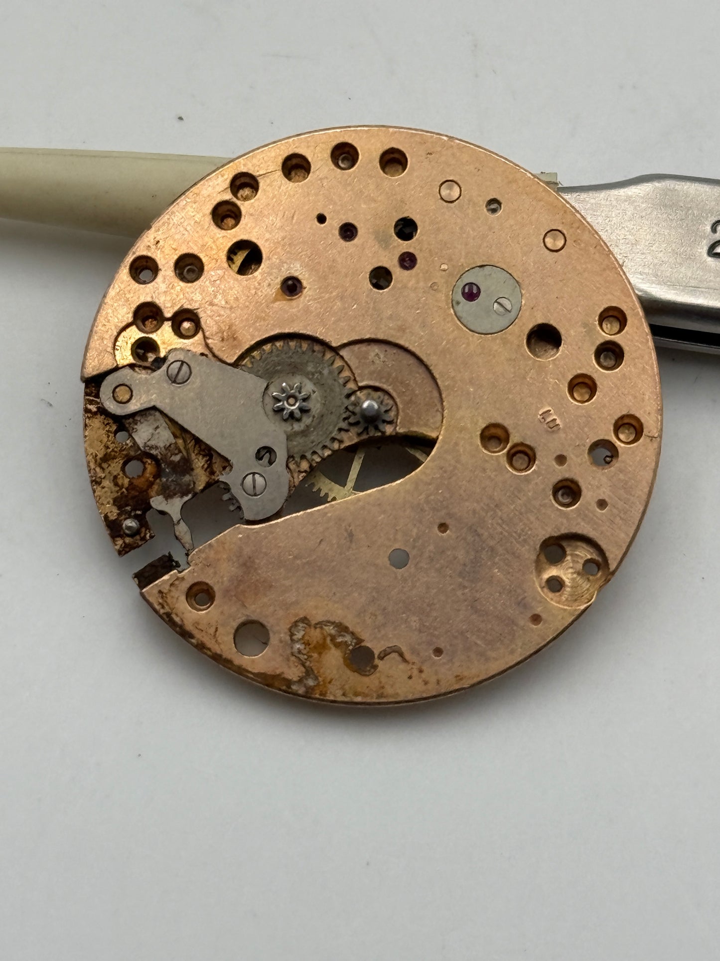as 1130 platina main plate movement movimento