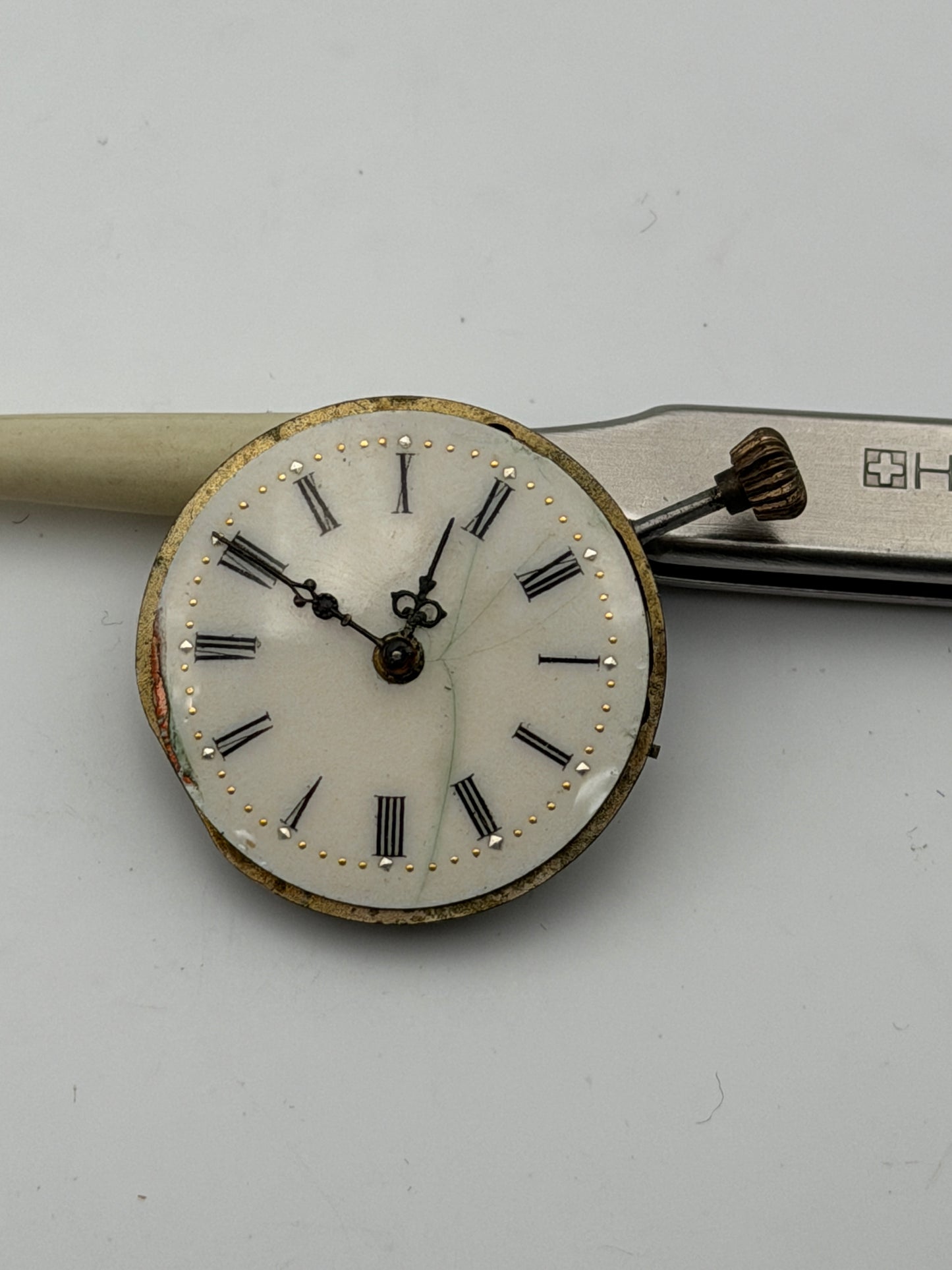 anonimo cilindro 26mm movement movimento