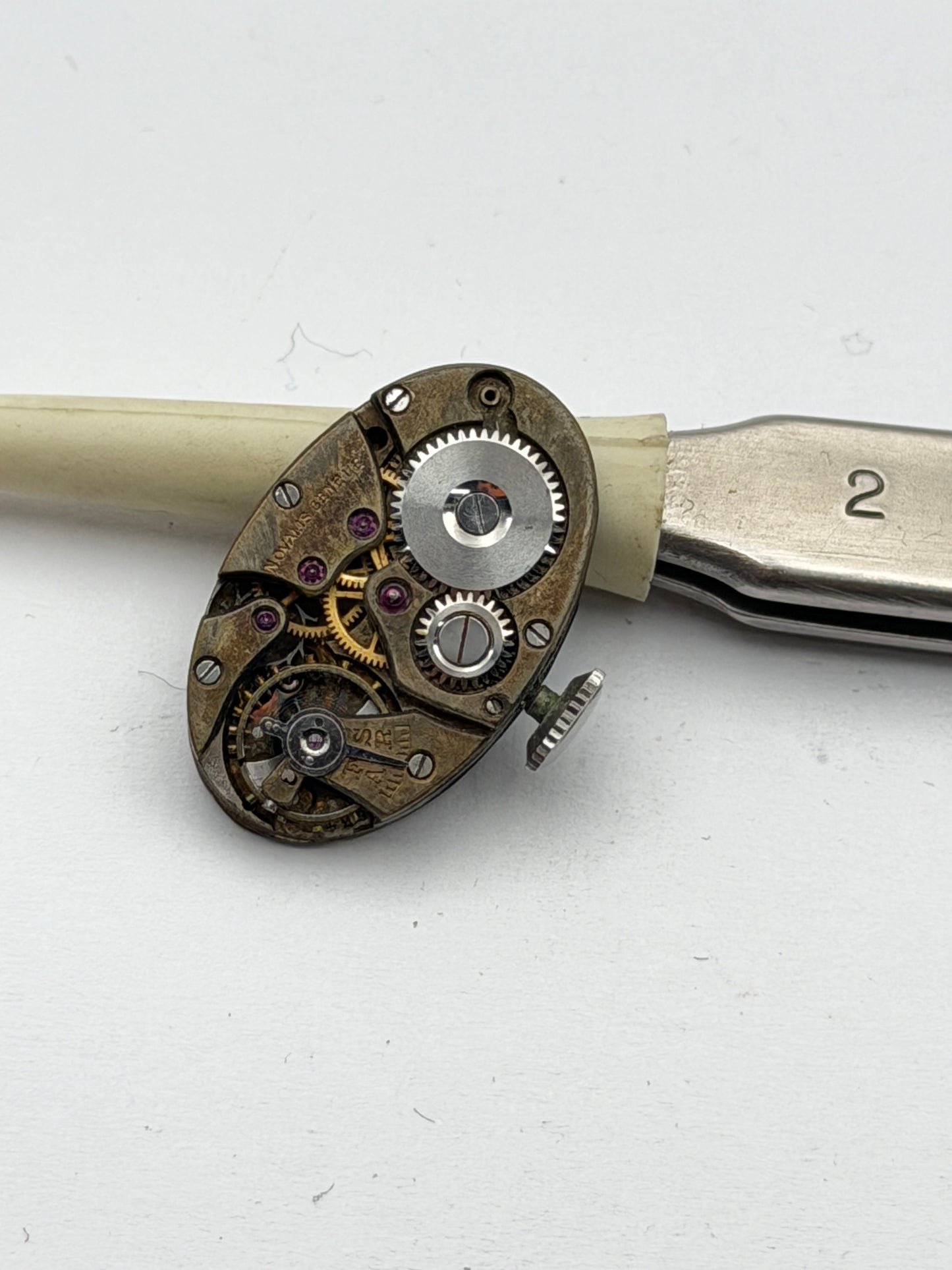 anonimo forma 16x8mm movement movimento