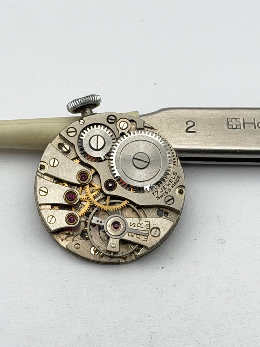 mst 352 movement movimento