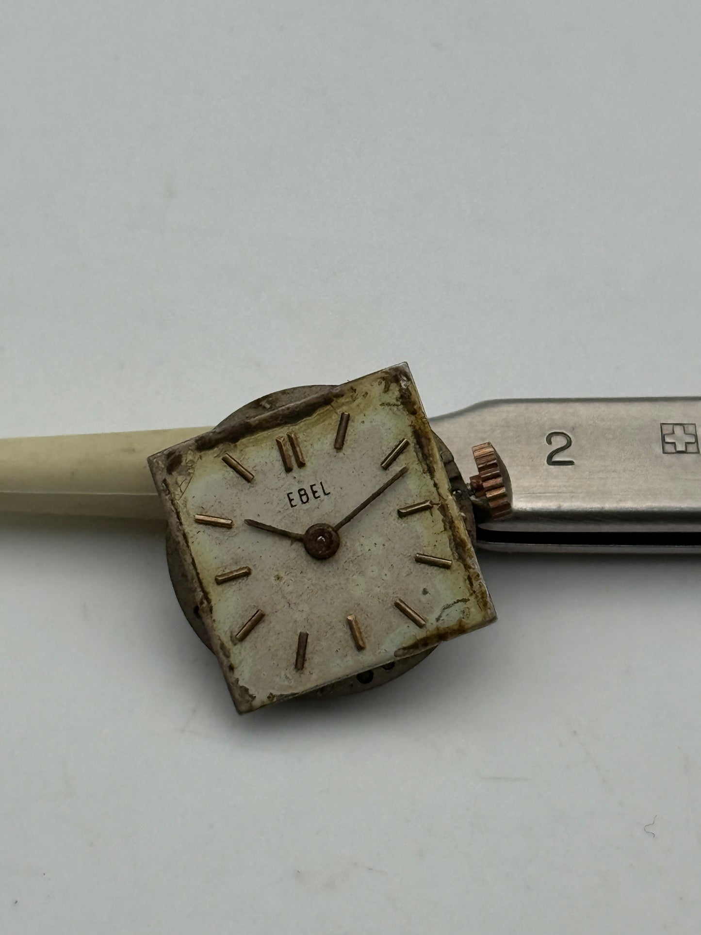 ebel 77 movement movimento